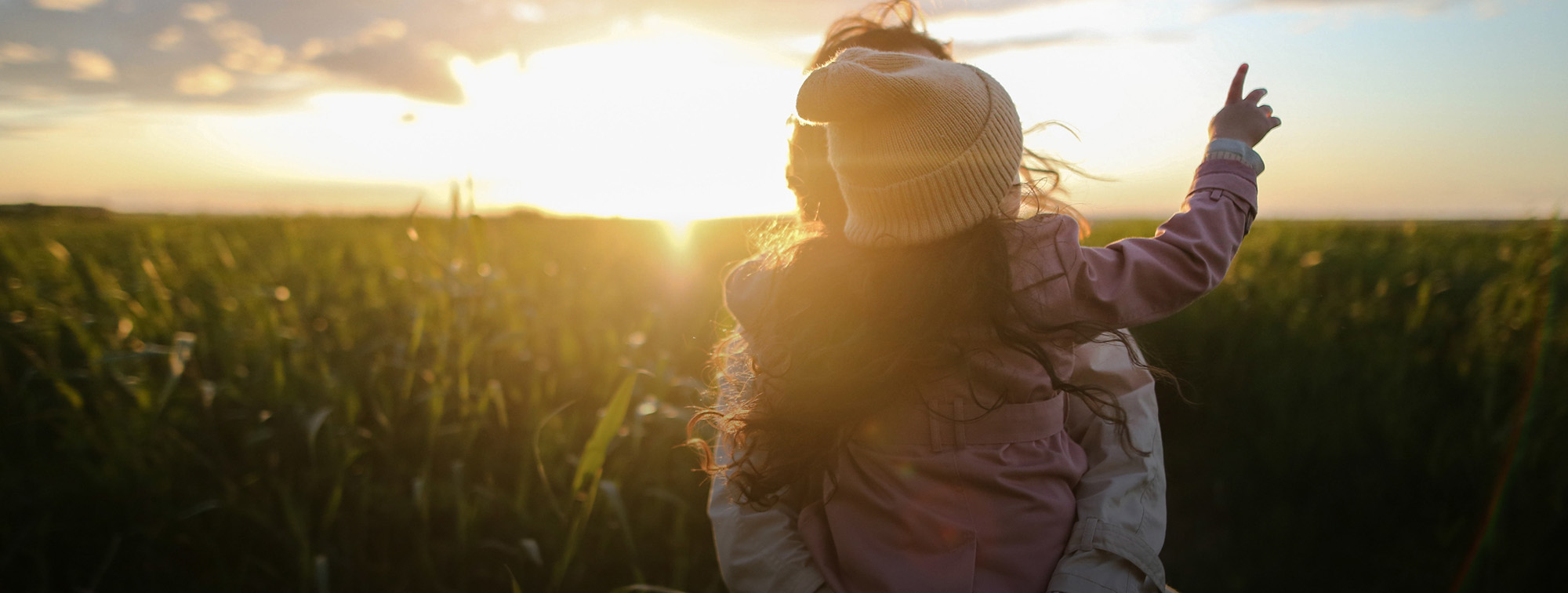 Whitby Meadows neighbourhood